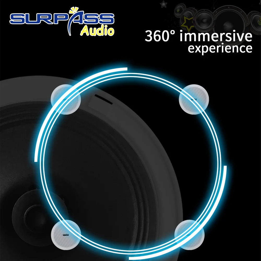 Audio House Music - Whole House Audio Music System 2Zone