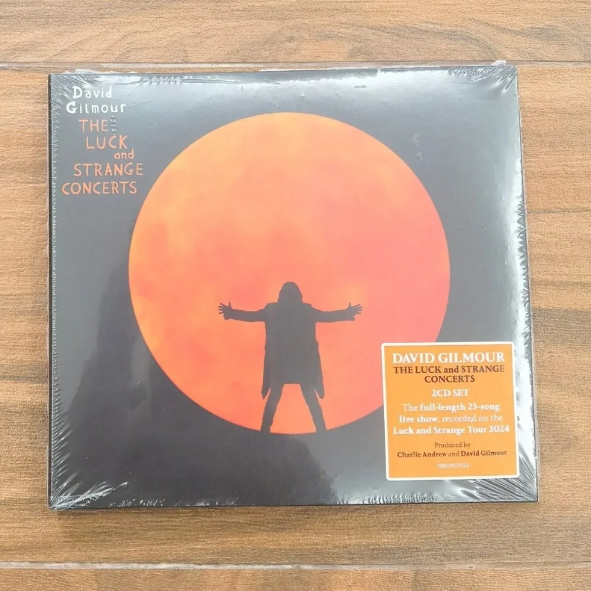 Official Audio Music - David Gilmour The Luck and Strange