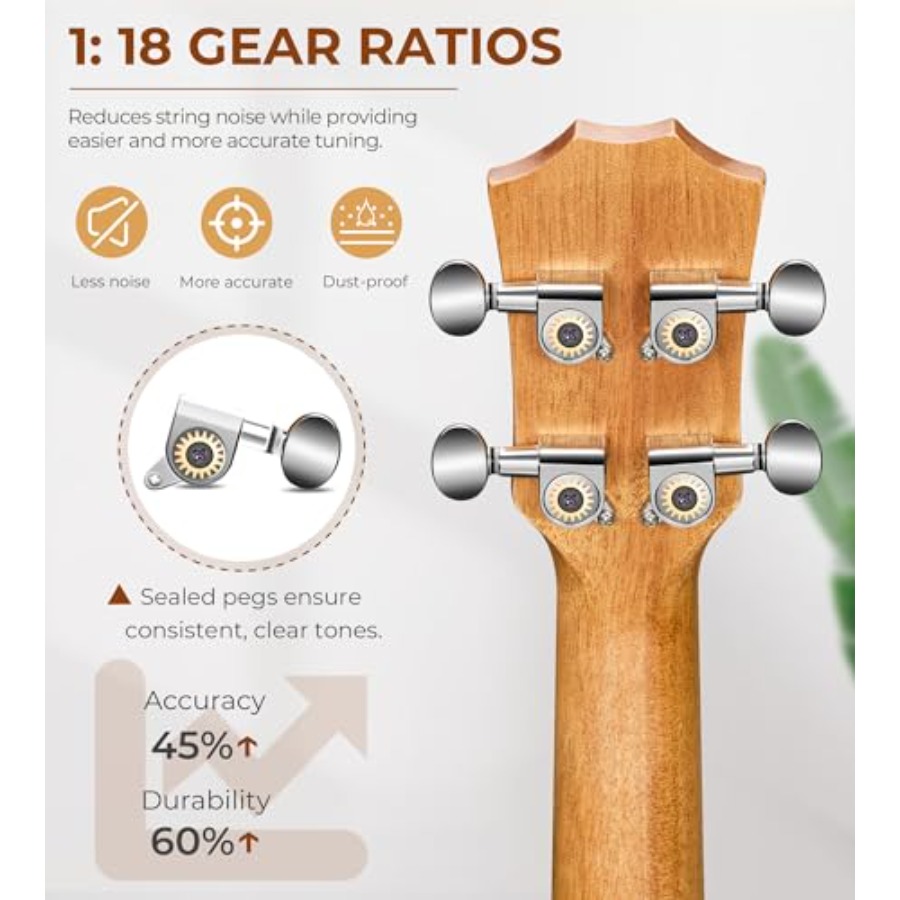 Concert Ukulele 23 inch Ukelel - đánh giá và giá Ukulele Beginner Kit
