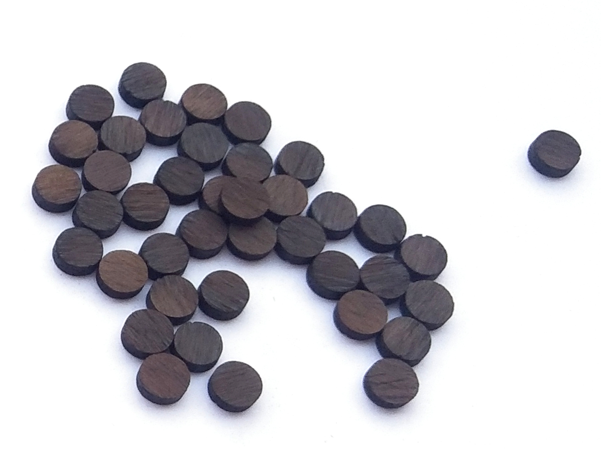 50x Rosewood Dot marker positi - đánh giá và giá Ukulele Beginner Kit
