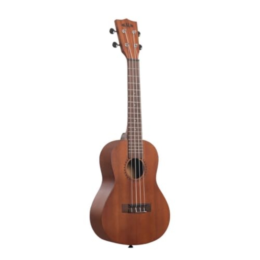 Learn to Play Ukulele Concert  - đánh giá và giá Ukulele Beginner Kit