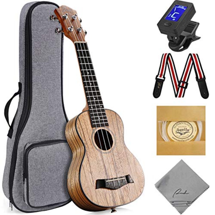 Soprano Ukulele 21 inch Profes - đánh giá và giá Ukulele Beginner Kit