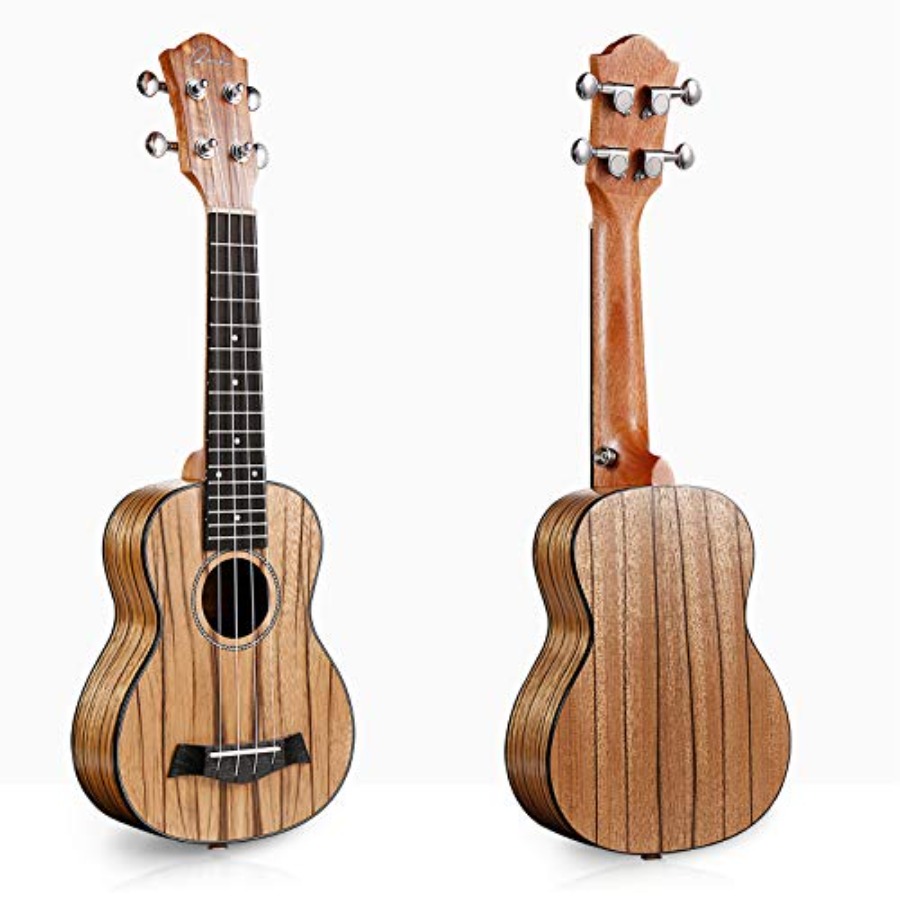 Soprano Ukulele 21 inch Profes - đánh giá và giá Ukulele Beginner Kit