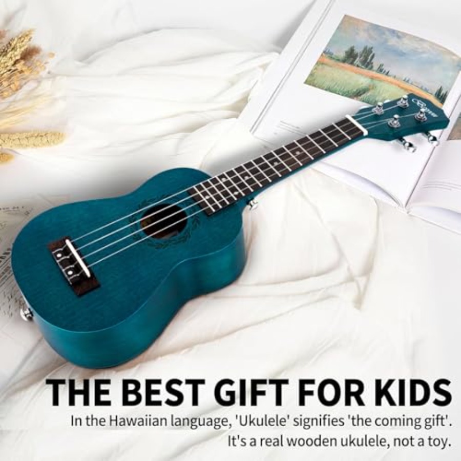21 Inches Ukulele Beginner and - đánh giá và giá Ukulele Beginner Kit